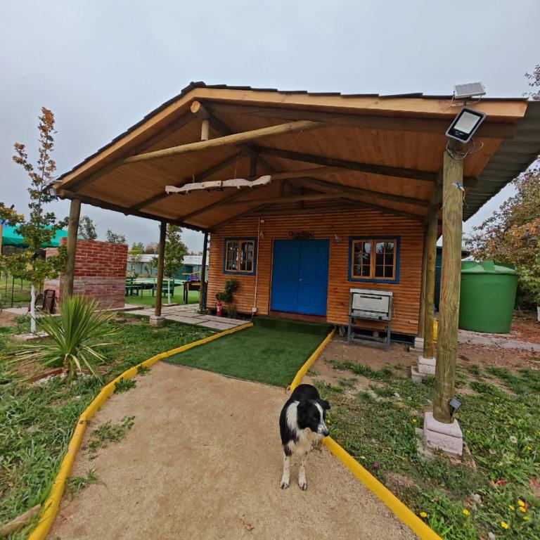 Alojamiento Casa Guadalupe - Family Double Room - 14