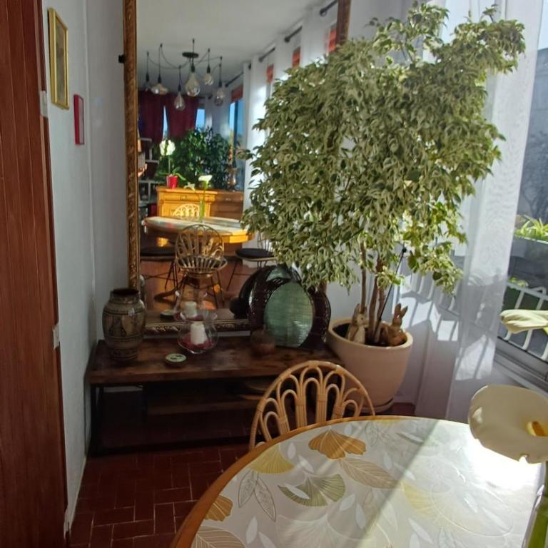Lumière - Appartement 1 Chambre - 8