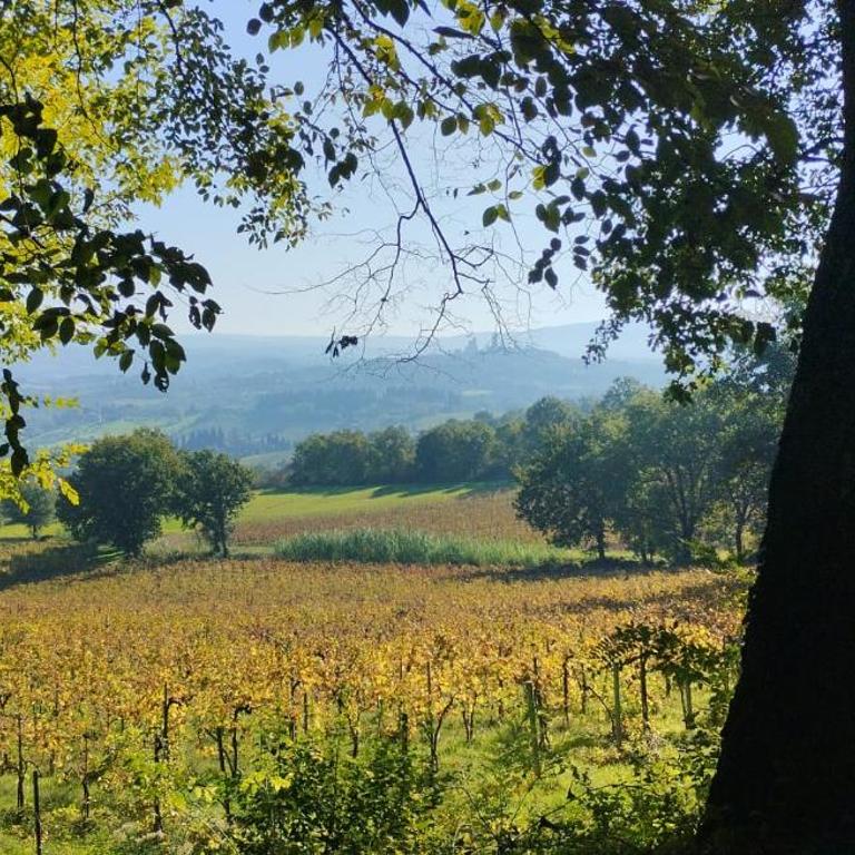CIELO - Antica Casa sulla Via Francigena - Casa con 2 Camere da Letto - 31