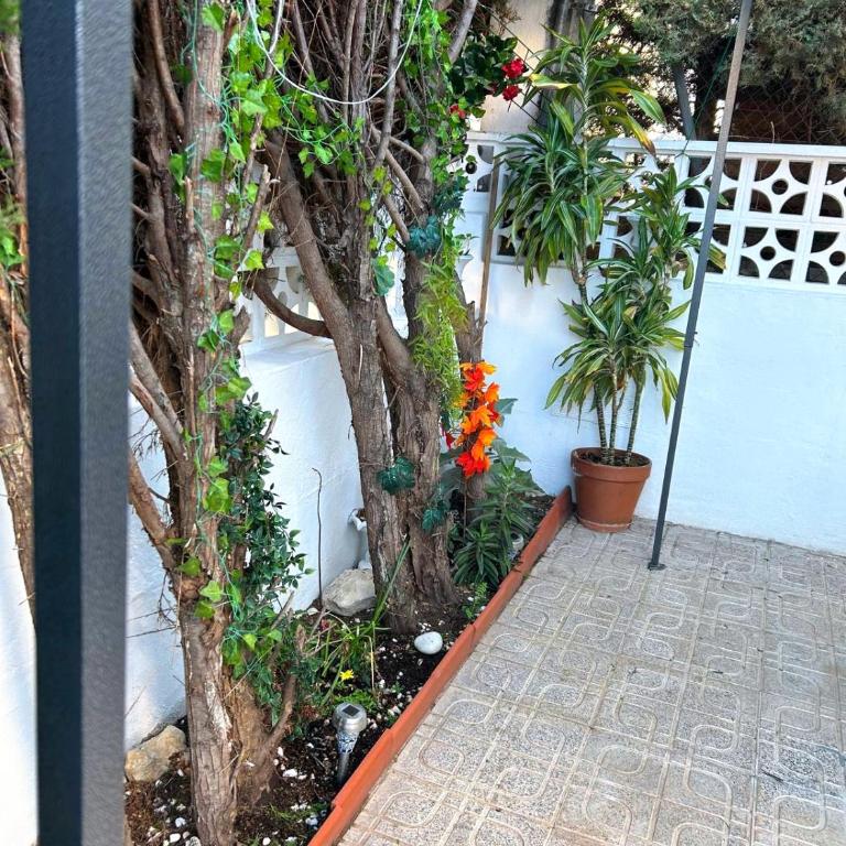Enjoy the experience and details - Apartamento Deluxe de 1 dormitorio con vistas al jardín - 13