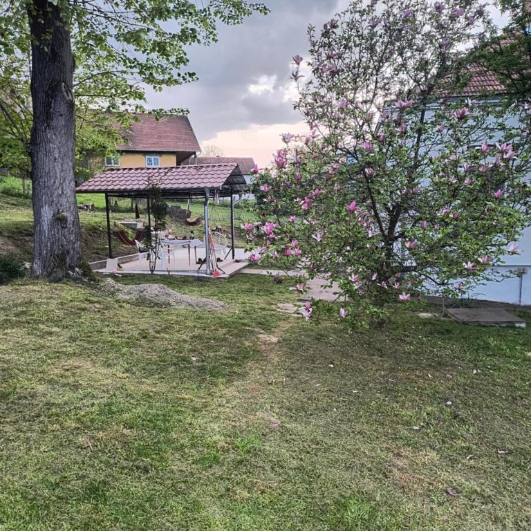 Apartman - kuca za odmor Slatina - Kuća sa 1 Spavaćom Sobom - 20