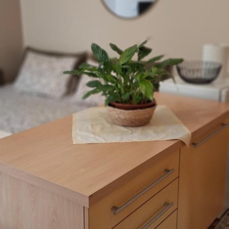 Felicia Apartments - Studio sa Terasom - 18
