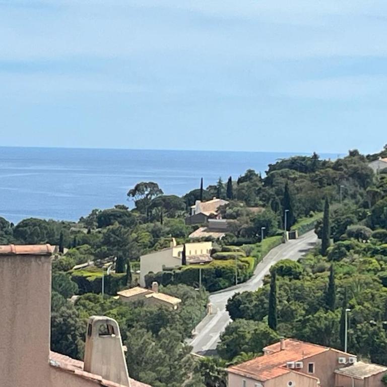 T3 vue mer avec piscine - Two-Bedroom Apartment with Terrace and Sea View - 11