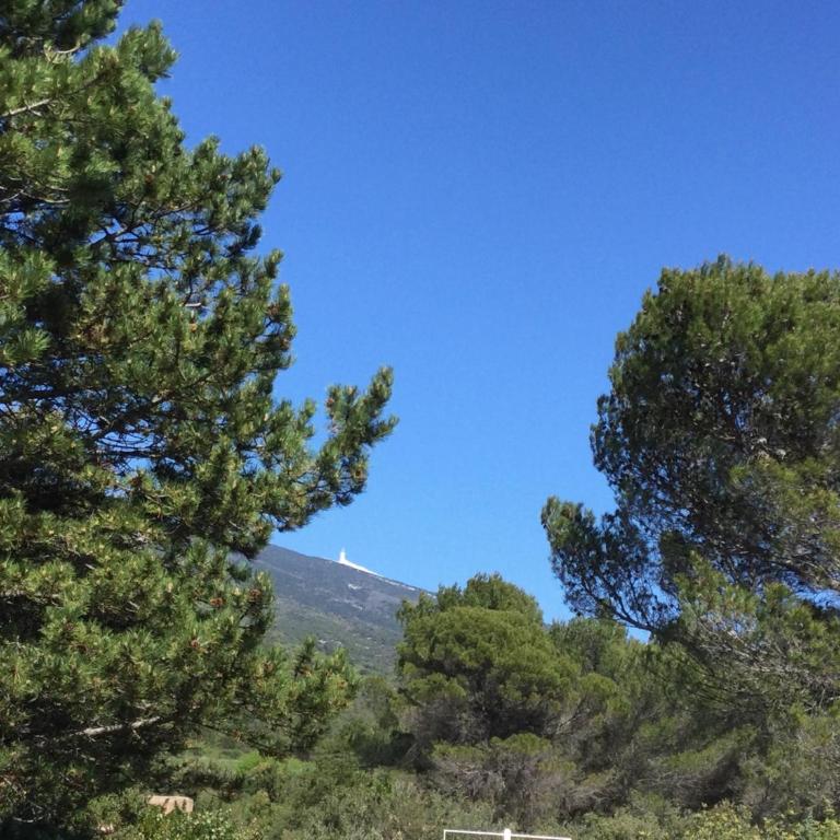 Bastidon provençal dans domaine naturiste avec accès gratuit parc aquatique - Maison 2 Chambres - 15