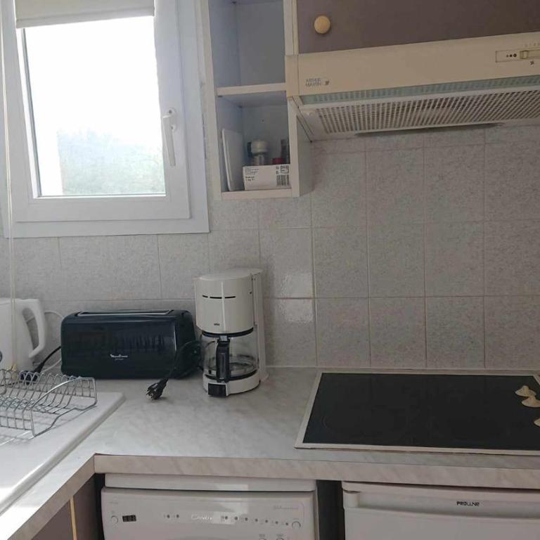 App le palais d'été - Appartement 1 Chambre - 7