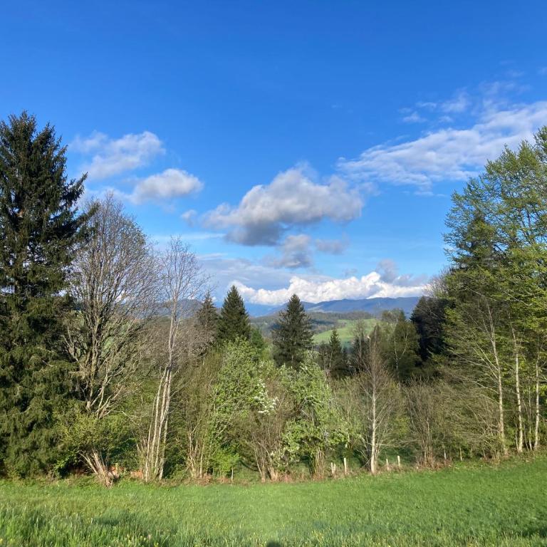 Ferienwohnung Hirsch im Allgäu - Apartment mit 1 Schlafzimmer - 25