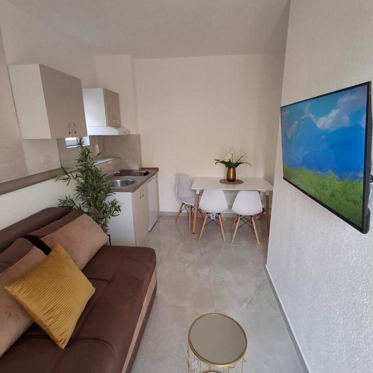 Apartmani Vuki - Apartman s 1 Spavaćom Sobom i Terasom - 8