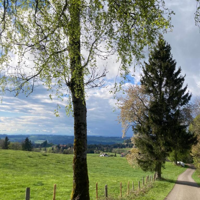 Ferienwohnung Hirsch im Allgäu - Apartment mit 1 Schlafzimmer - 27