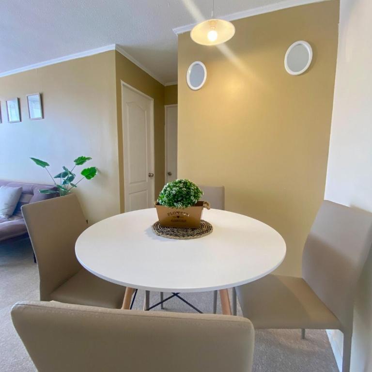 Hermoso Depto Central 4p estacionamiento privado wifi AC tv Cable - Apartamento de 2 dormitorios con balcón - 14