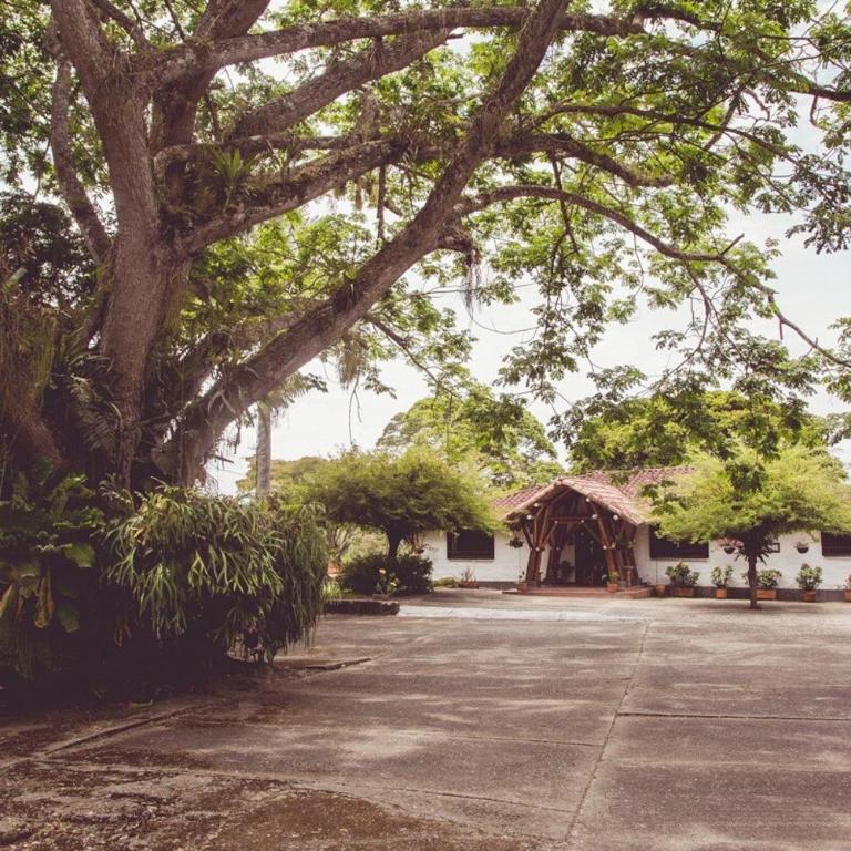 Finca Buenos Aires - Casa de 4 dormitorios - 21