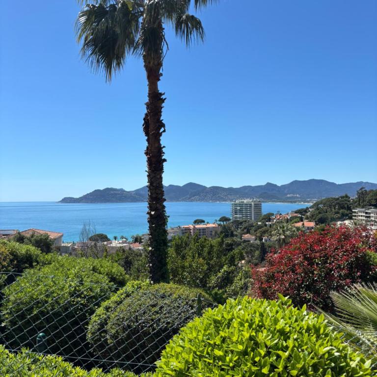 Appartement Vue Mer avec Piscine - Cannes - Apartment mit 1 Schlafzimmer - 25