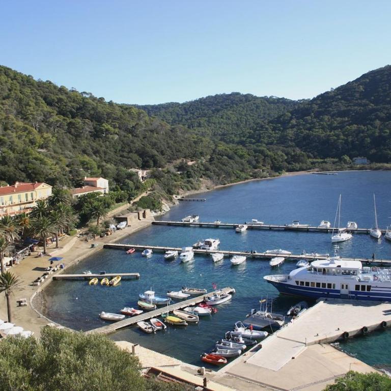La Ratopenado - Villa Provençale - Piscine - Villa - 40