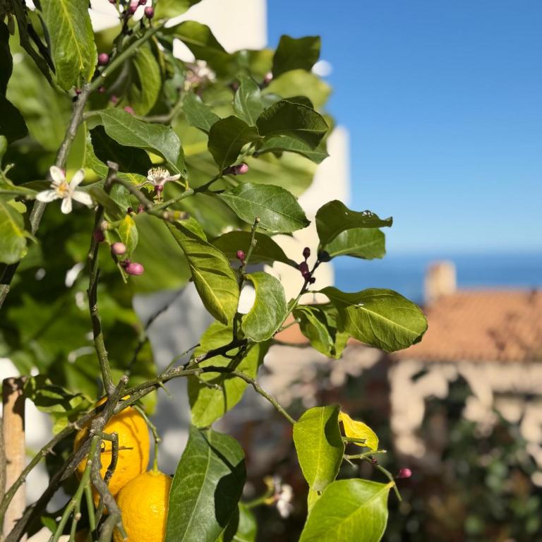 Monaco 2bdr luxury apartment, private garden&pool - Appartement 2 Chambres - Vue sur Mer - 69