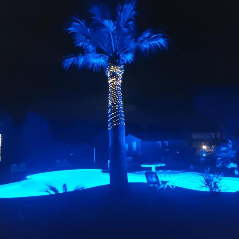 Chalet familial entre les pins - Chalet 2 Chambres - 33
