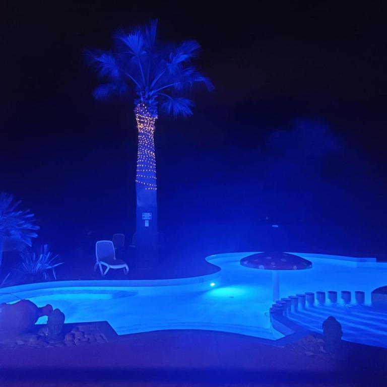 Chalet familial entre les pins - Chalet 2 Chambres - 32