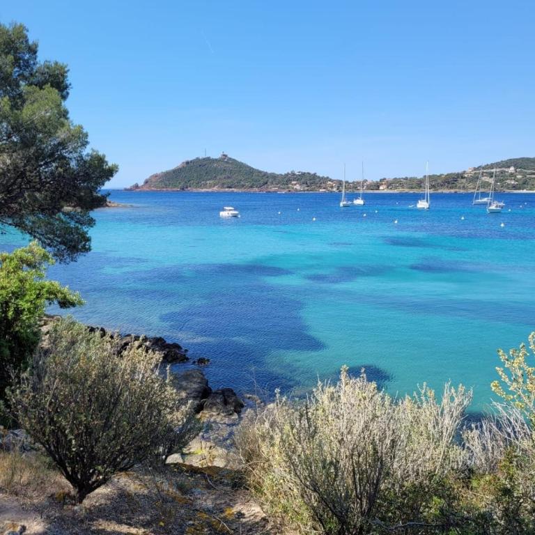 T2 Vue mer, Jardin clos, Village vacances Cap Esterel St Raphaël - Apartment mit 1 Schlafzimmer - 35