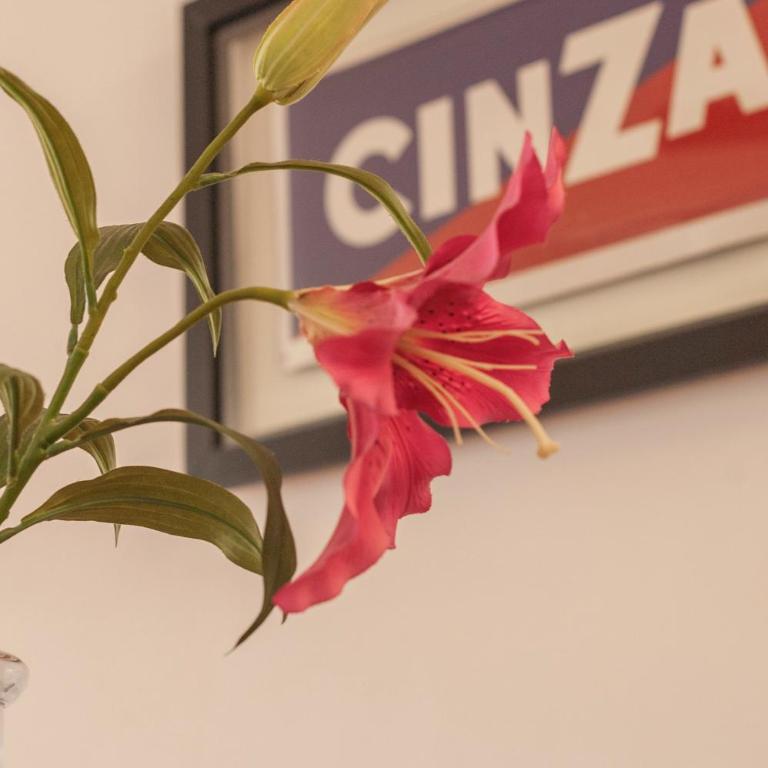 Perfecto para Familias & Grupos - Departamento Grande y Luminoso - Apartamento de 3 dormitorios - 23