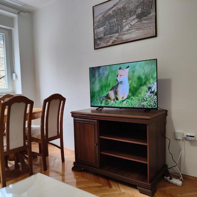 Apartment Trebinje - Apartman - 1