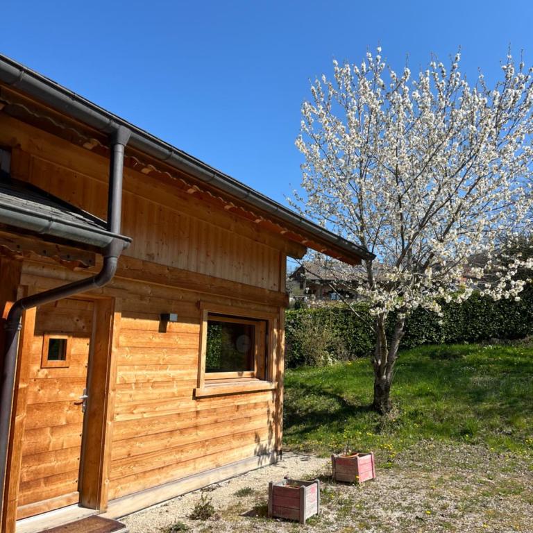 Small cottage - Chalet 1 Chambre - 23