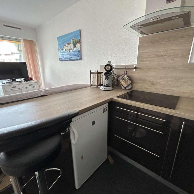 Studio climatisé avec terrasse, 4 couchages, proche plage et commerces - FR-1-250-307 - Apartment - 10