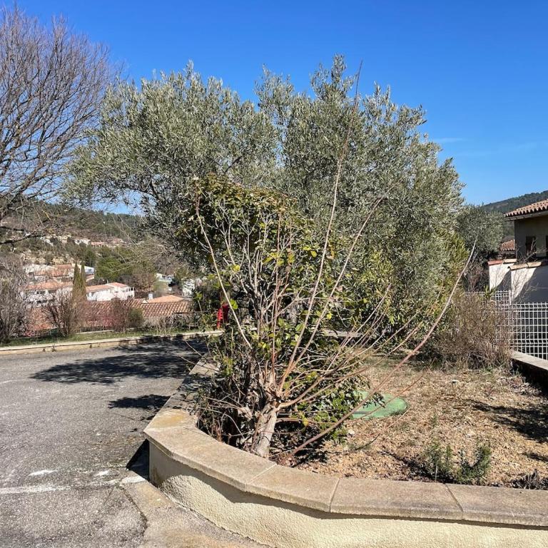 Joli appartement avec terrasse Baccara - Apartamento de 1 dormitorio - 13