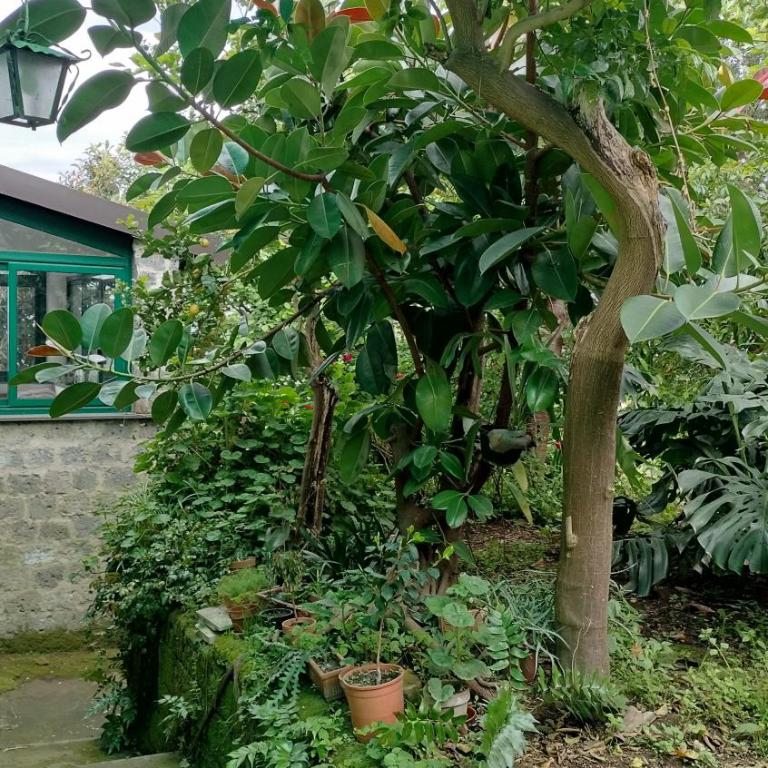 San Renato house - Appartamento - Piano Terra - 25