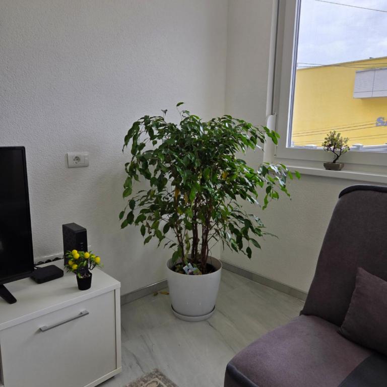 Sarajevo Pulse Residence - Apartman - Prizemlje - 20
