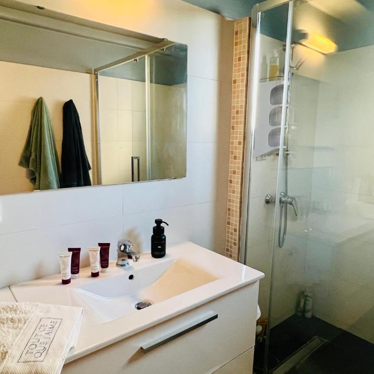 Le Palais Antibois - Appartamento con 2 Camere da Letto - 45