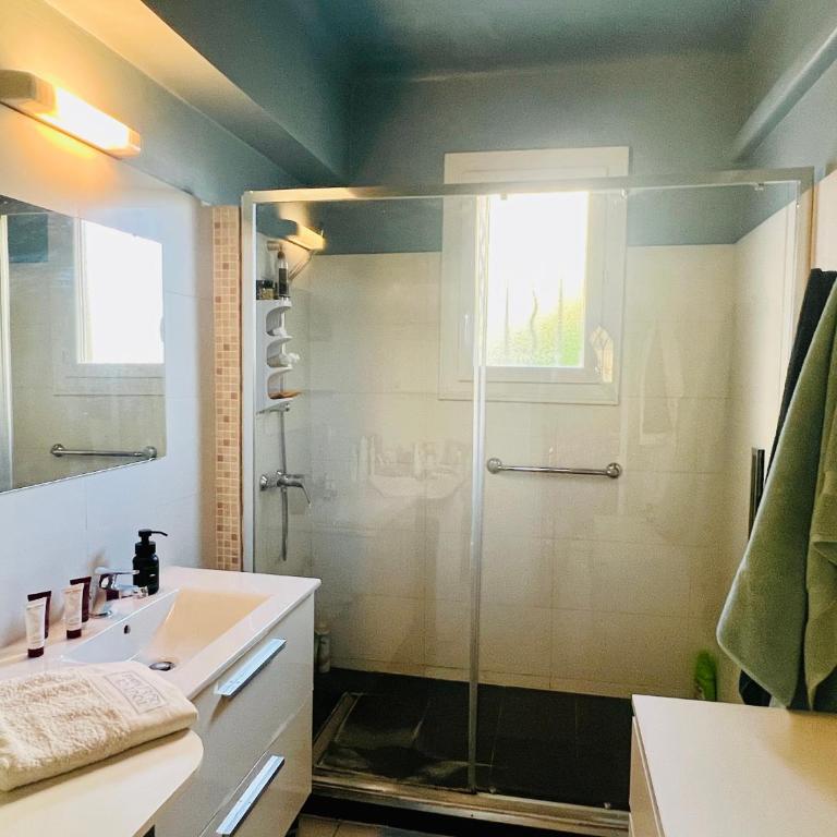 Le Palais Antibois - Appartamento con 2 Camere da Letto - 46