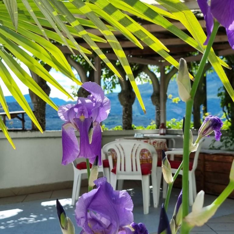 La casa delle fiabe - Appartamento Standard - 3