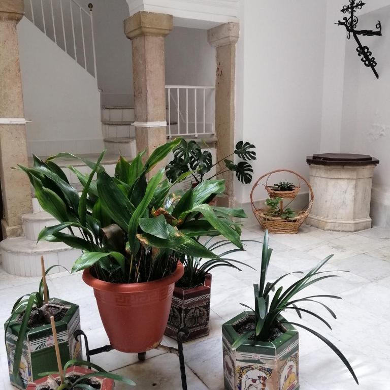 Candelaria cornerflat - Apartamento de 2 dormitorios - 13