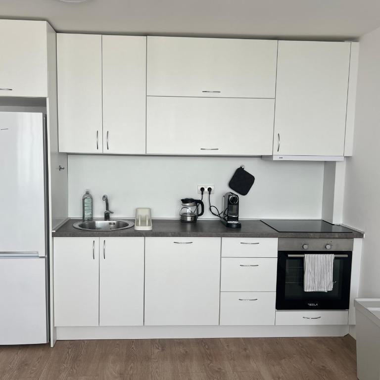 Sassy - Two-Bedroom Apartment - 16