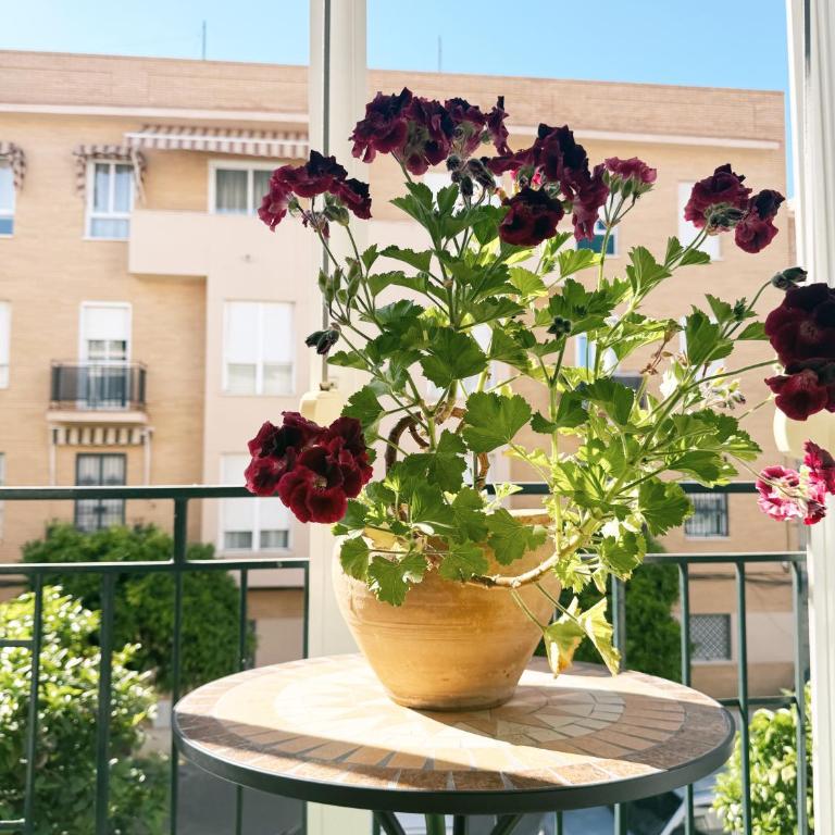 El balcón de la Luz - Apartamento de 2 dormitorios - 5