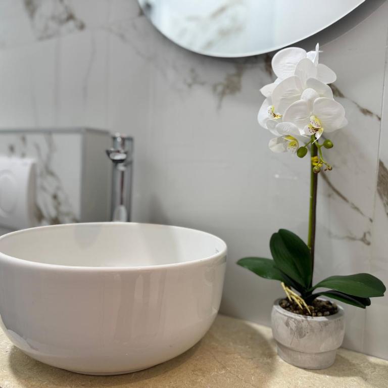 Olive Branch Studio Apartment Dobra Voda - Studio with Garden View - 6