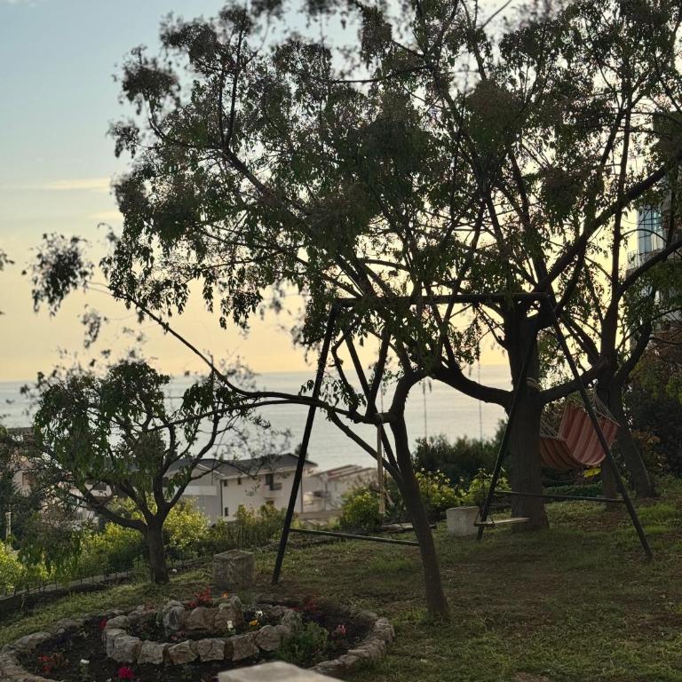 Olive Branch Studio Apartment Dobra Voda - Studio with Garden View - 22