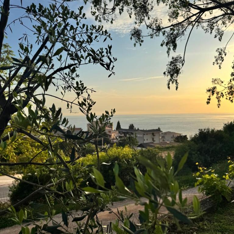 Olive Branch Studio Apartment Dobra Voda - Studio with Garden View - 23