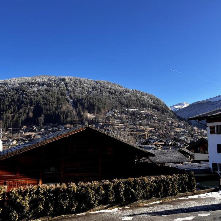 Charmant studio Morzine Centre - Apartamento de 1 dormitorio - 13