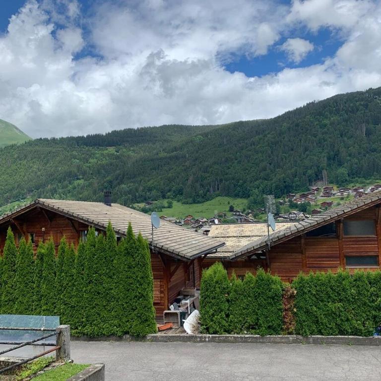 Charmant studio Morzine Centre - Apartamento de 1 dormitorio - 12