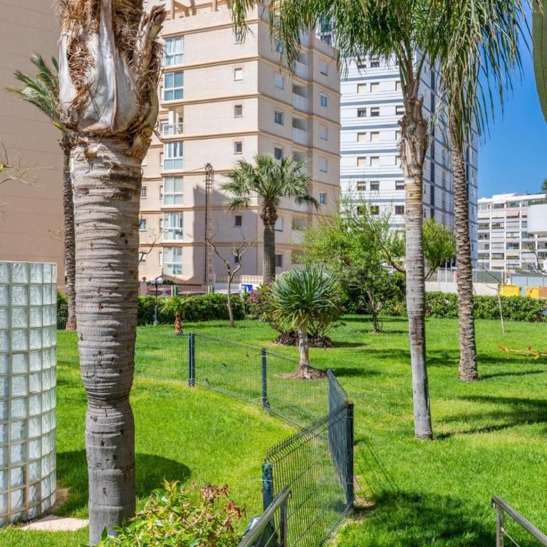Apartamento Apolo XIV 104 - Grupo Turis - Apartamento - 10