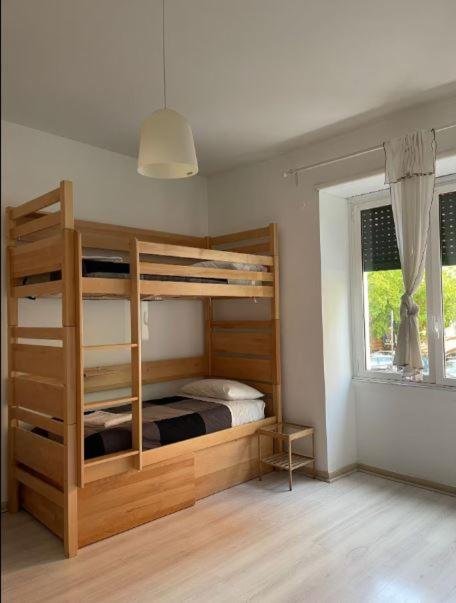 il Plancton II - Single Bed in Mixed Dormitory Room - 5