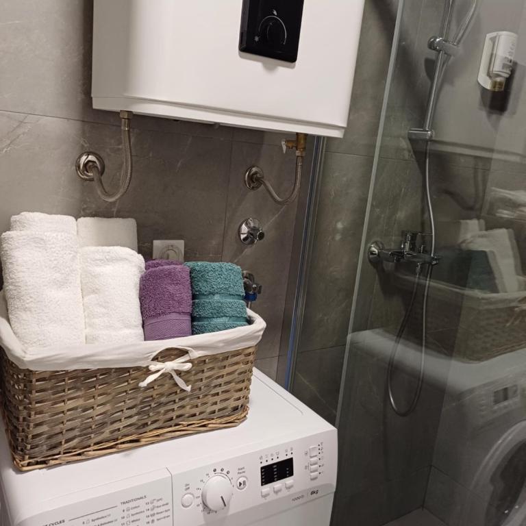 Apartman Pavle - Apartman sa 1 Spavaćom Sobom - 21