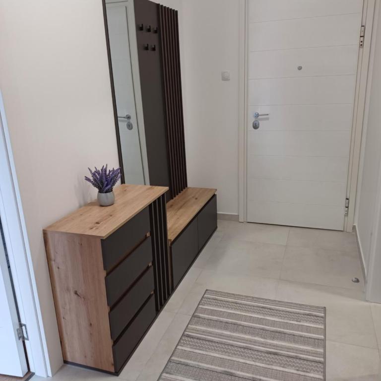Apartman Pavle - Apartman sa 1 Spavaćom Sobom - 26