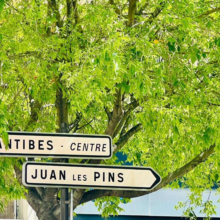 Le Palais Antibois - Appartamento con 2 Camere da Letto - 38