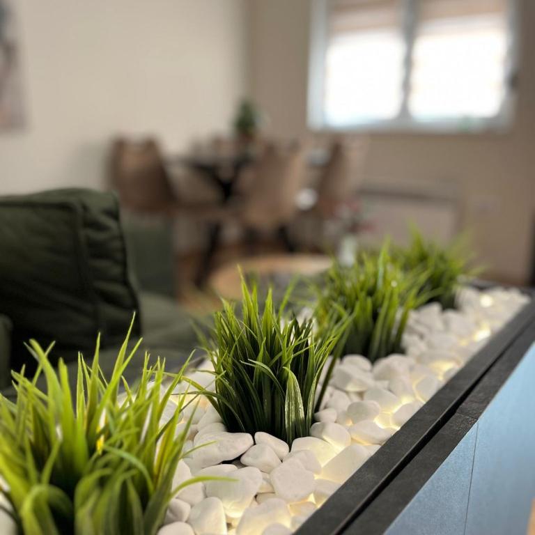 Apartman LuJ Zlatibor - One-Bedroom Apartment - 1