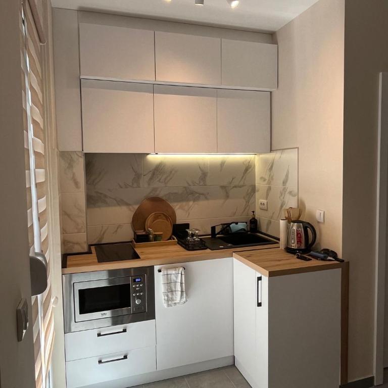 Apartman LuJ Zlatibor - One-Bedroom Apartment - 11