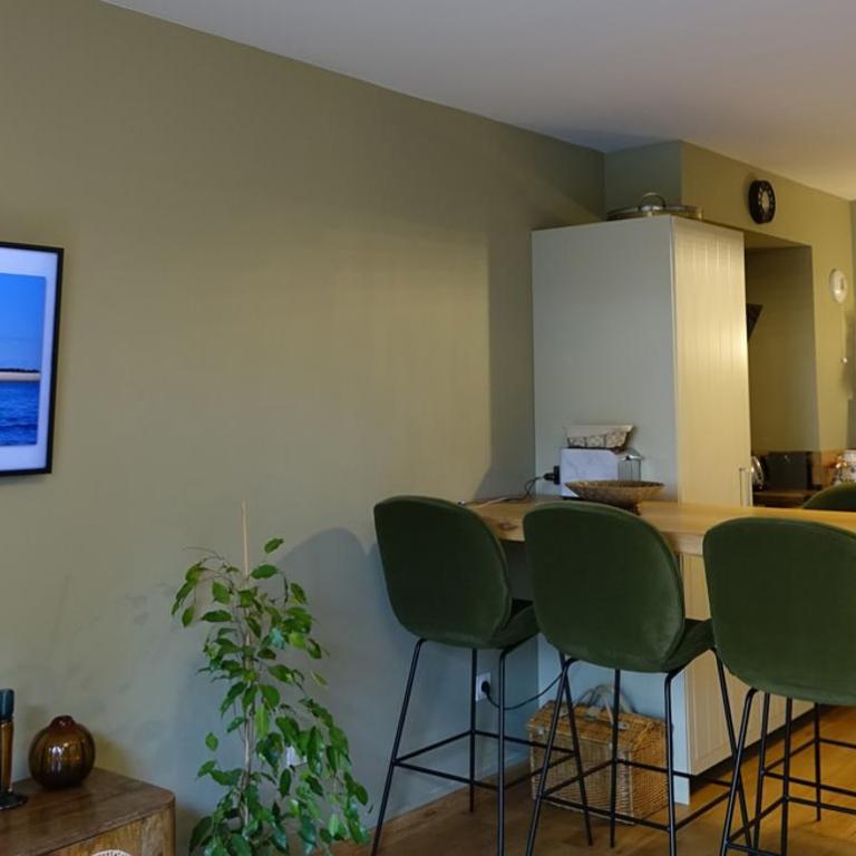 Très joli appartement "Cap sur le Ferret", confort et charme - Appartement 2 Chambres - Vue sur Jardin - 10