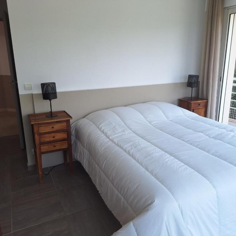 Cannes-SuperCannes-GolfeJuan--VILLA ALAMP--Piscine--Vue mer exceptionnelle - Villa avec Piscine Privée - 41