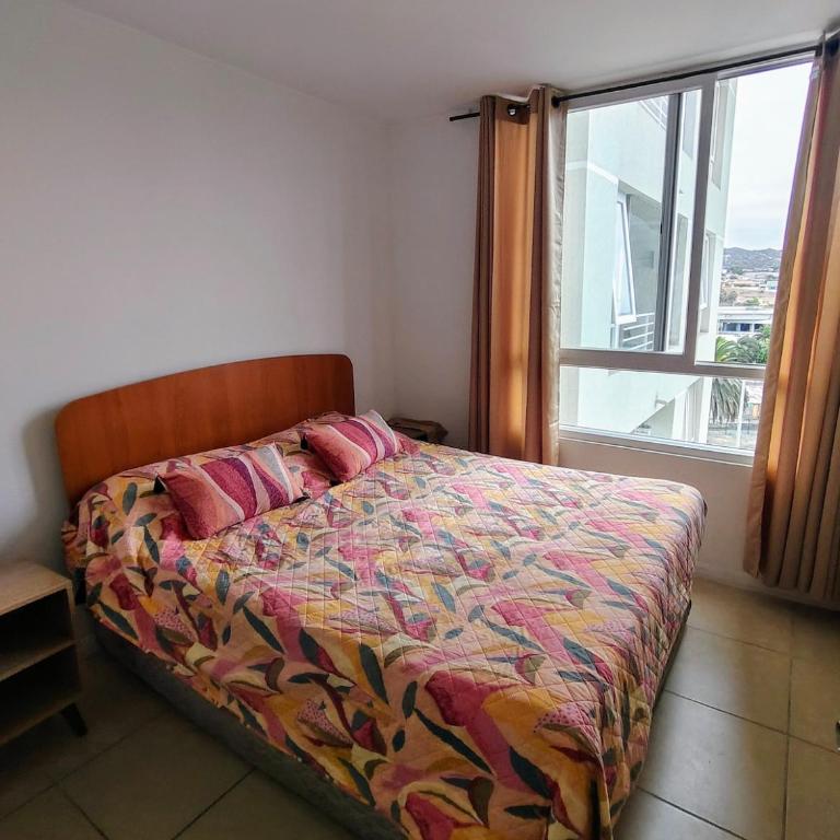 Confortable apartment - Apartamento de 1 dormitorio - 3