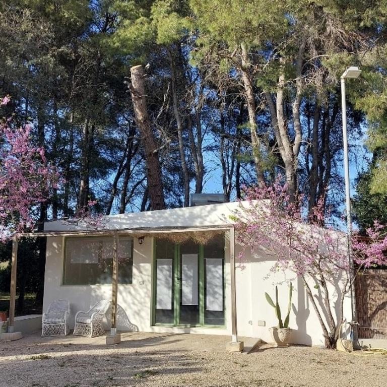 B&B Villa I 2 Leoni - Monolocale con Vista Giardino - 1