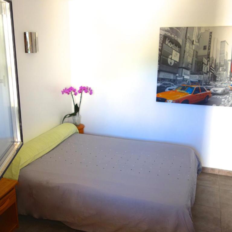 Le Clos Saint Elme - Appartement avec Terrasse (4 Adultes) - 5